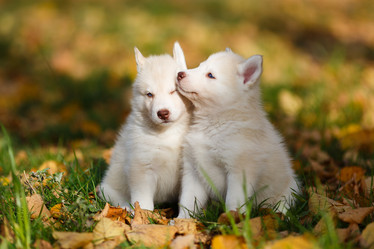 Similar image 7431148