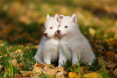 Similar image 7431149