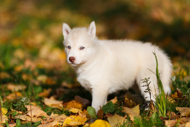 Similar image 7431150