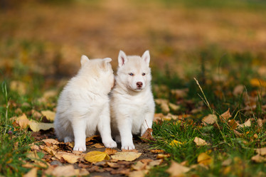 Similar image 7431152