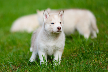 Similar image 7431155