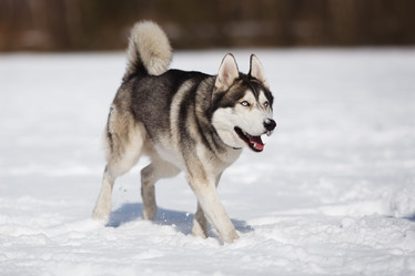 Similar image 7431164