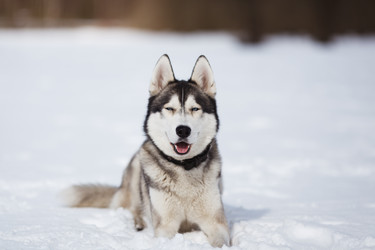 Similar image 7431166