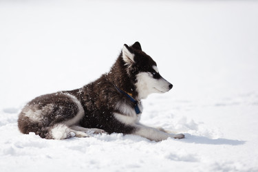 Similar image 7431167