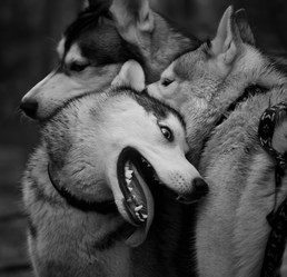 Similar image 7431175