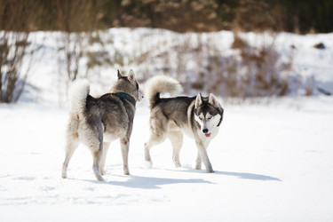 Similar image 7431181