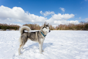 Similar image 7431183