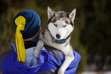 Similar image 7431184