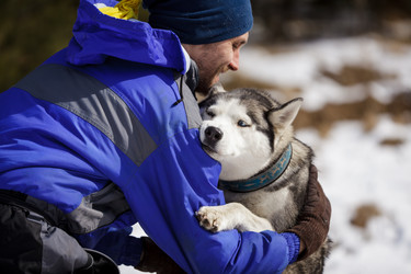 Similar image 7431185