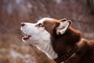 Similar image 7431187