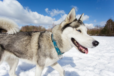 Similar image 7431194