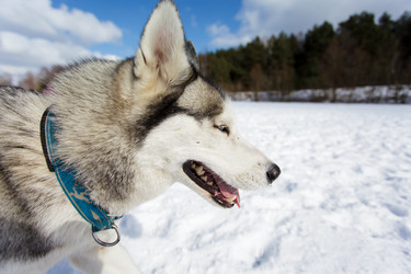 Similar image 7431195