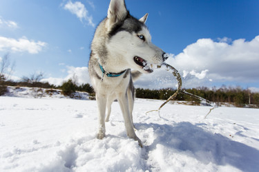 Similar image 7431197