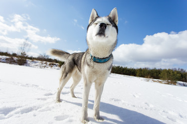 Similar image 7431201