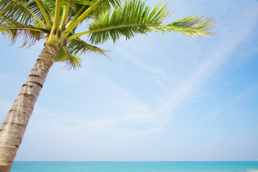 Similar image 7431211