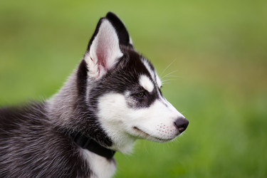 Similar image 7431219