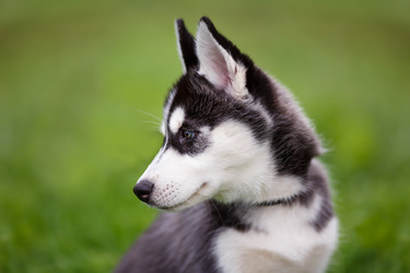 Similar image 7431220