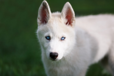 Similar image 7431222