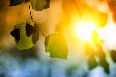 Similar image 7444199