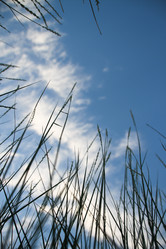 Similar image 7444232