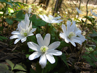 Similar image 7444251