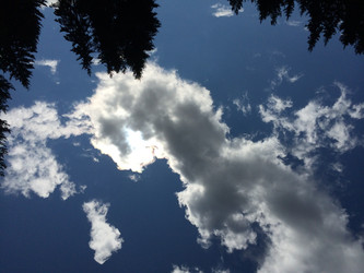 Similar image 7444253