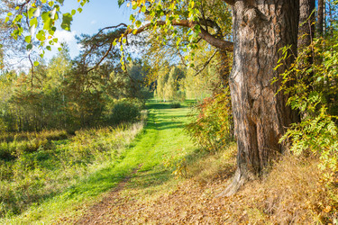 Similar image 7444265