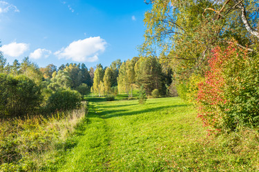 Similar image 7444266