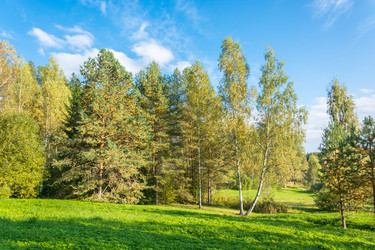 Similar image 7444270