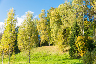 Similar image 7444273