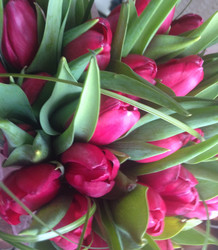 Similar image 7444275