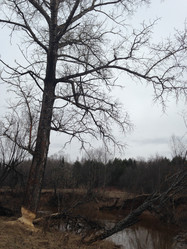 Similar image 7444276