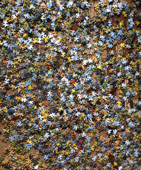 Similar image 7444277