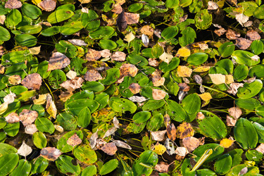 Similar image 7444282