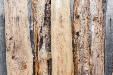 Similar image 7444283