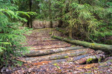 Similar image 7444286