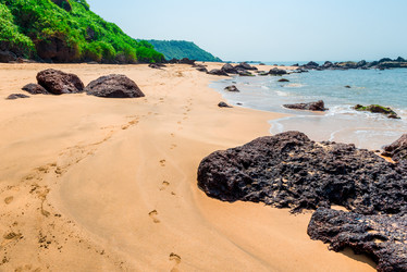 Similar image 7444299