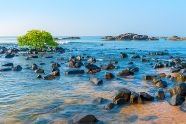 Similar image 7444311