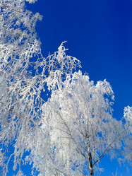 Similar image 7444484