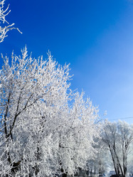 Similar image 7444485