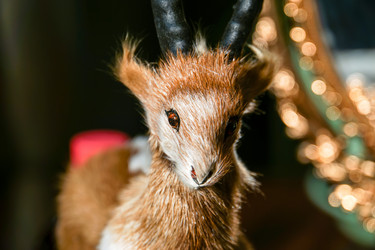 Similar image 7444489