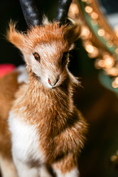 Similar image 7444490