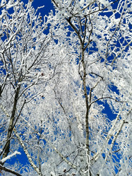 Similar image 7444492