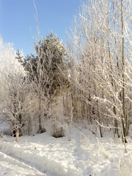 Similar image 7444493