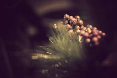 Similar image 7444494