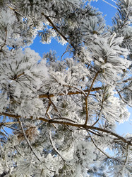 Similar image 7444497