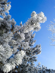 Similar image 7444498