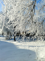 Similar image 7444499