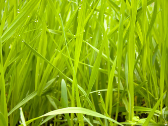 Similar image 7444508