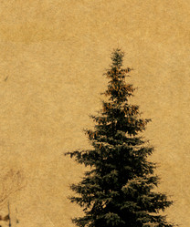 Similar image 7444517